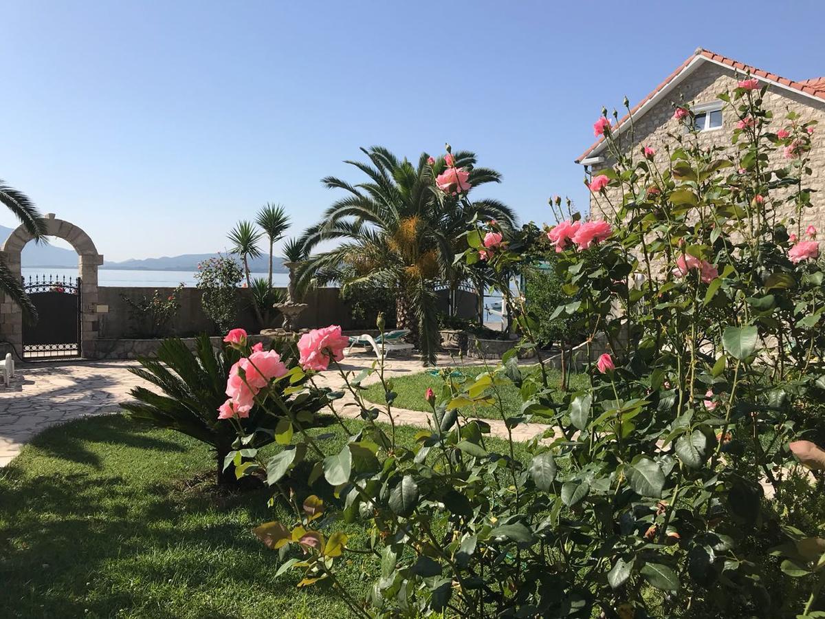 Apartments Apple Cat Montenegro Ko Bijela Kültér fotó